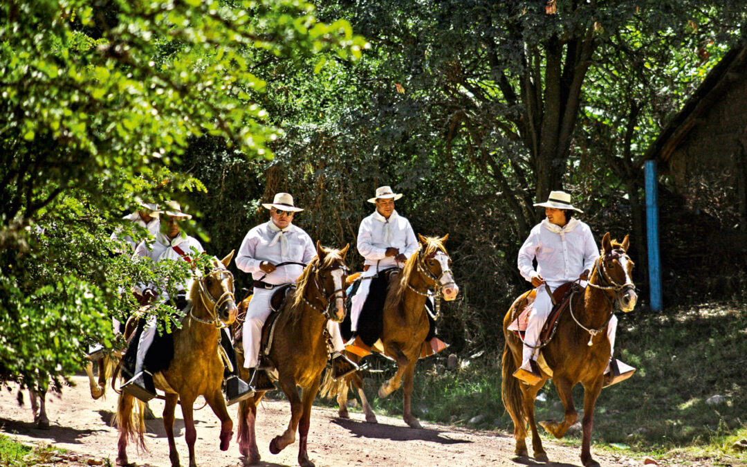 El Caballo de Paso Ayacuchano